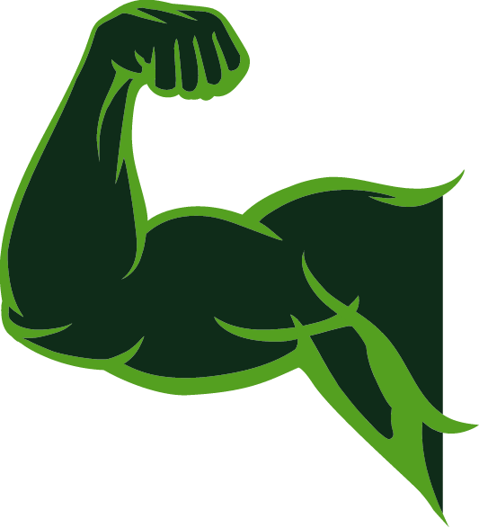 muscle image